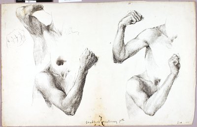 四本の腕の研究 その1 作： Solon H. Borglum