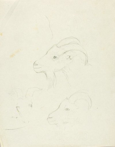 ヤギ 作： Solon H. Borglum