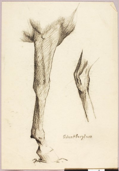 馬の研究 作： Solon H. Borglum