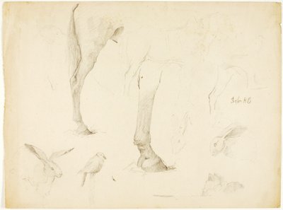 馬学とウサギ 作： Solon H. Borglum