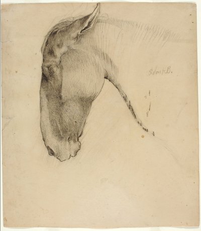 馬の頭 作： Solon H. Borglum