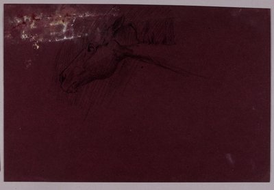 馬の頭 作： Solon H. Borglum