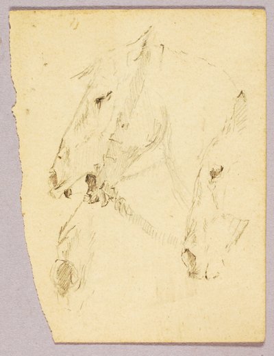 馬の頭 作： Solon H. Borglum