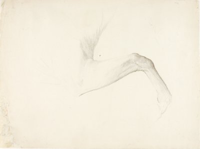 馬の足 作： Solon H. Borglum