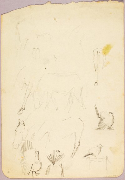 馬と七面鳥 作： Solon H. Borglum