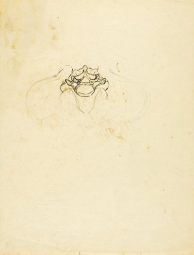 骨盤 作： Solon H. Borglum