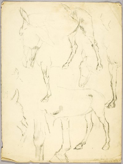 肖像画の習作、馬の習作 作： ソロン・H・ボーグラム