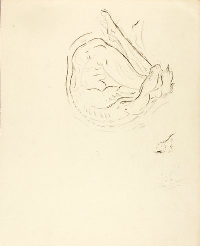 スイマー 作： Solon H. Borglum