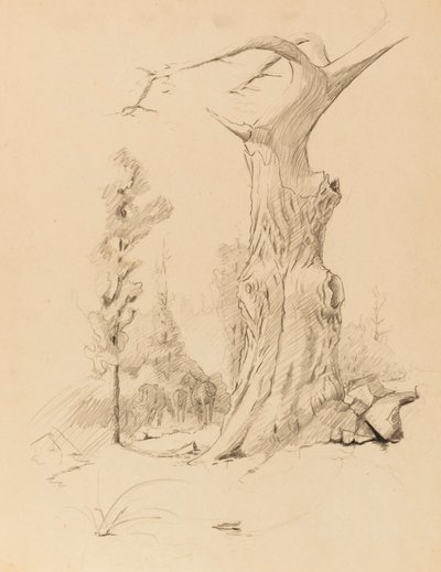 無題 作： Solon H. Borglum