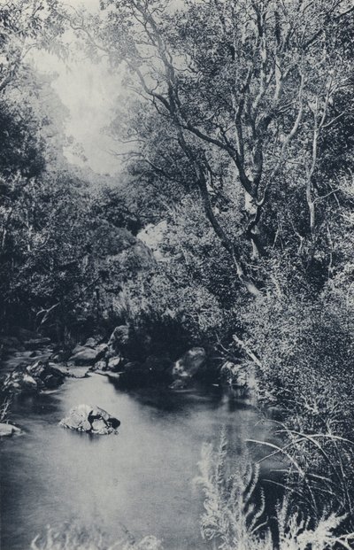 Witpoortje付近の妖精の風景（モノクロ写真 作： South African Photographer