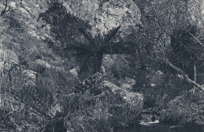 Witpoortje峡谷にて（モノクロ写真 作： South African Photographer