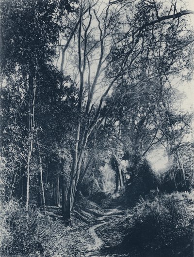 Lydenburg地区の風景（モノクロ写真 作： South African Photographer