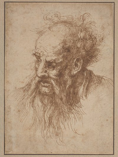 流れる髭の老人 作： Spanish 17th Century