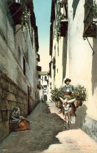 スペイン、グラナダ、La Calle Del Horno Del Vidrio（カラー写真） 作： Spanish Photographer