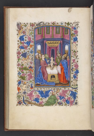 MS 50004 f.41v The Circumcision を「Book of Hours」から追加 (ベラムにインク、カラー、ゴールド) 作： Spanish School