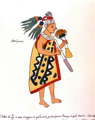 Codex Vaticanus 3738（Codex Vat.Rios）のアステカの司祭。ドミニコのペドロ・デ・ロス・リオスが1570年から1589年の間に作成した写本のファクシミリ、Bibl.Vatican. 作： Spanish School