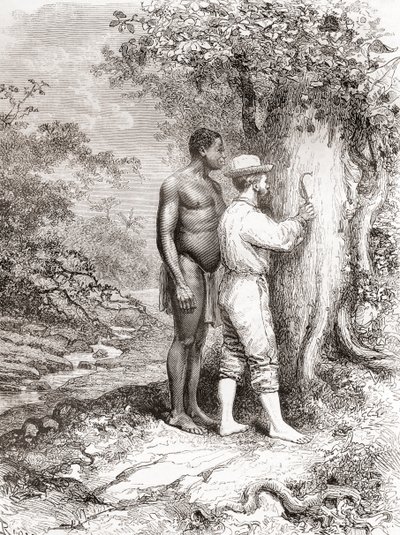 ジュールクレボーは、1878年のフランス領ギアナの探検中に、オイアポックまたはオイアポケ川のほとりにある木に彼のイニシャルを彫りました 作： Spanish School