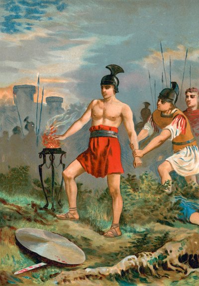 Scaevola 作： Spanish School