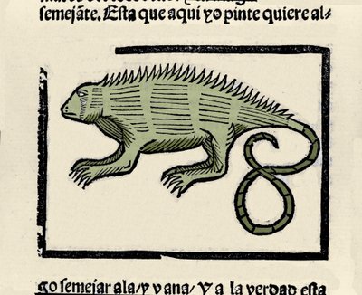 イグアナを表現しています。Gonzalo Fernandez de Oviedo (Gonzalo) or Fernandez de, ou Hernandez de Oviedo y Valdes (1478-1557)の著書「Historia general de las Indias, islas y tierra firme del mar oceano」からの挿絵。 作： Spanish School