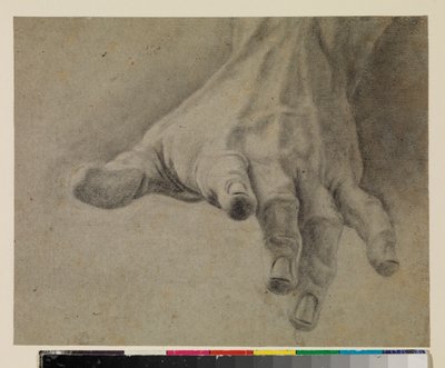 左手の研究、18世紀 作： Spanish School