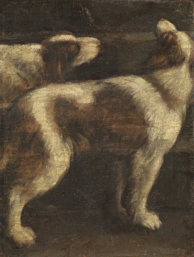 2匹の犬 作： Spanish School
