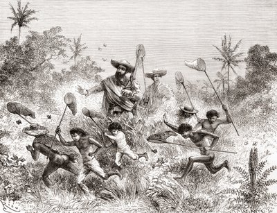 エドワールフランソワアンドレは、ベネズエラのビリャビセンシオで1875年から76年にかけてアンデス山脈の麓で植物探検をしているときに蝶を捕まえました。 作： Spanish School