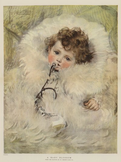 赤ちゃんの花（chromolitho） 作： St. George Hare