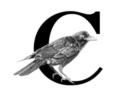 C is for Crow, 2018（黒鉛筆＆デジタル） 作： Stacy Hsu