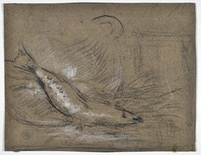 魚の研究（描画） 作： Stanislas Torrents y de Amat