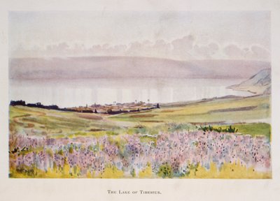 パレスチナのガリラヤ海を描いたStanley Inchboldの水彩画 1906年 作： スタンリー・インチボールド