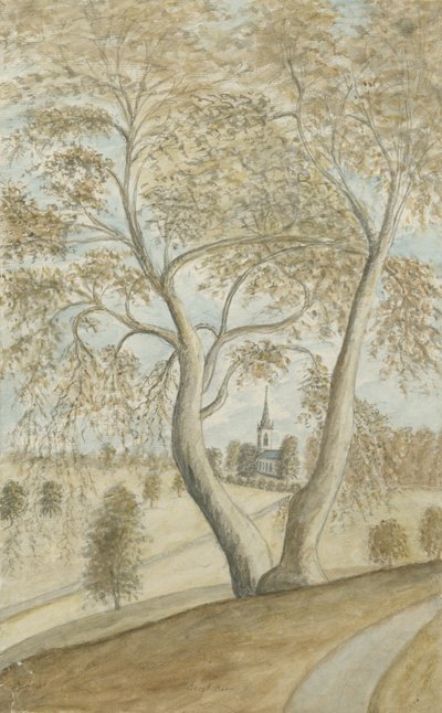 グレートバーチャペル：水彩画、nd [1762-1802] 作： Stebbing Shaw