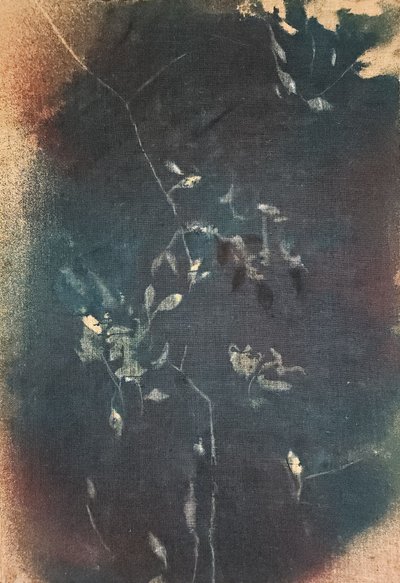  作： Stefano Mazzolini