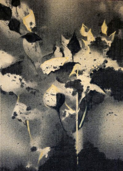  作： Stefano Mazzolini