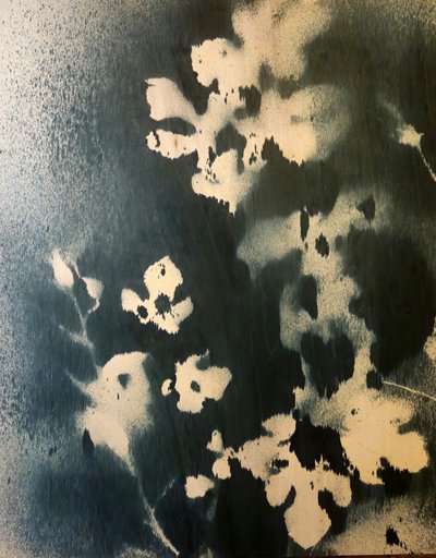  作： Stefano Mazzolini