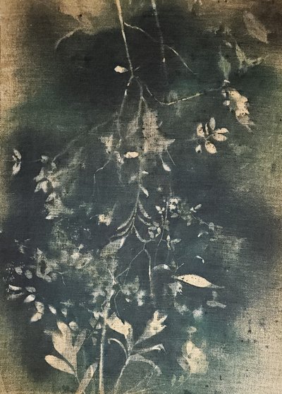  作： Stefano Mazzolini