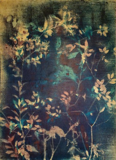  作： Stefano Mazzolini