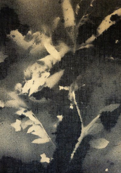  作： Stefano Mazzolini