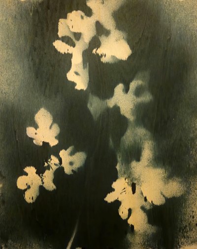  作： Stefano Mazzolini