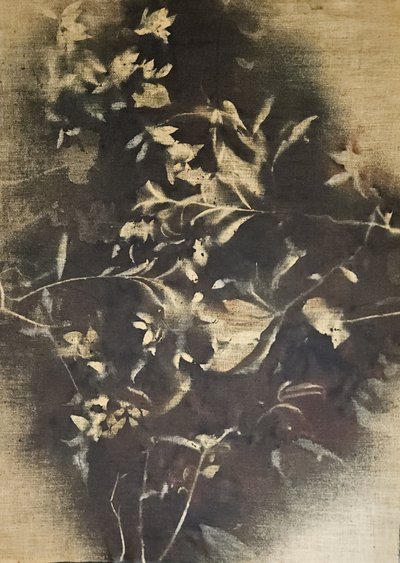 陰鬱な花の影 作： Stefano Mazzolini