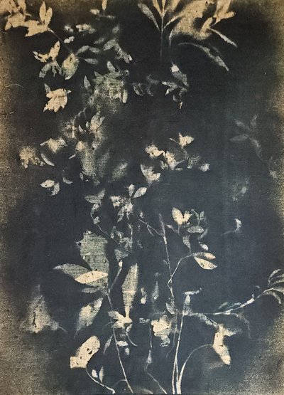  作： Stefano Mazzolini