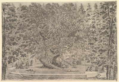 中央に大きな生息木があり、幹の周りに石の道の下に続く傾斜路がある。 1653年。 作： Stefano della Bella