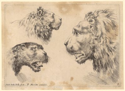  作： Stefano della Bella