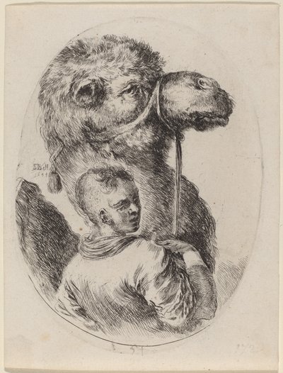 ラクダで手入れをする、1649年。 作： Stefano della Bella