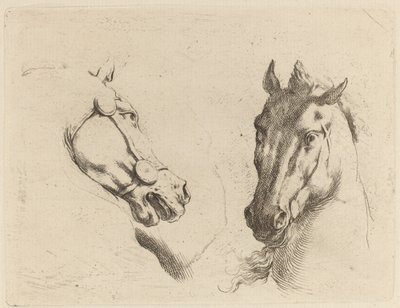 横顔と 4 分の 3 で見られる馬の頭 作： Stefano della Bella