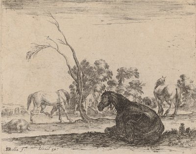 牧草地の馬、1642年。 作： Stefano della Bella