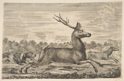 クワガタとDoeを追いかける猟犬1654年。 作： Stefano della Bella