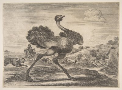 ダチョウ狩り、動物狩りから異なる動物狩り、およそ。 1654年。 作： Stefano della Bella