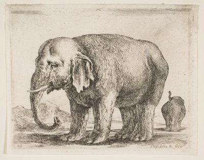 プレート10：さまざまな動物の象Diversi animali、ca. 1641年。 作： Stefano della Bella