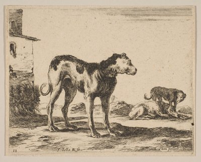 プレート11：さまざまな動物の犬Diversi animali、ca. 1641年。 作： Stefano della Bella