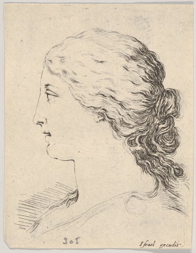 プレート 14: 女性の頭、横顔、「The Book for Learning to Draw」より Livre pou..., ca. 1649年。 作： Stefano della Bella